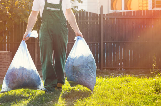 Best Construction Debris Removal  in Weirton, WV