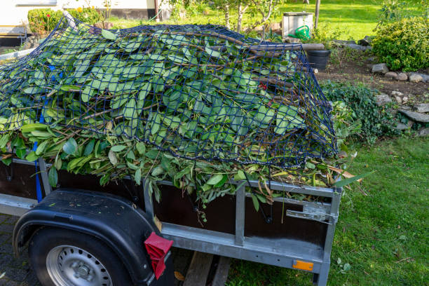Best Retail Junk Removal  in Weirton, WV